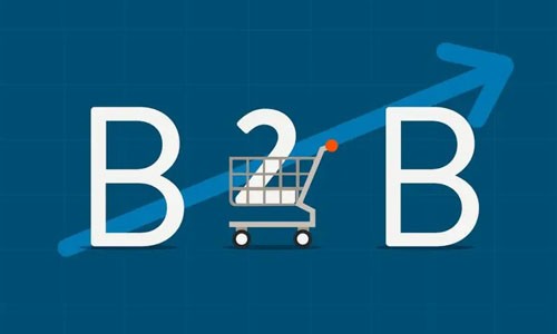 B2B网站源码如何选择与优化？