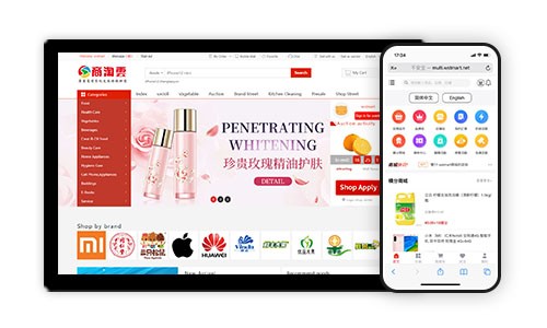 支持中英文切换的商城系统：技术挑战与解决方案