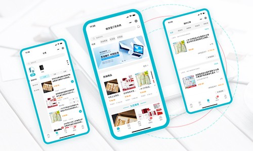 如何设计一个高效的小程序订货系统，以满足中小型企业在快速发展的电商环境中的需求？